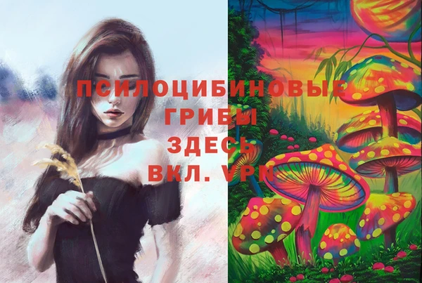 круглые Армянск